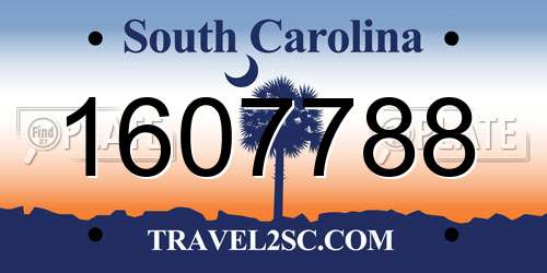 1607788 South Carolina License Plate