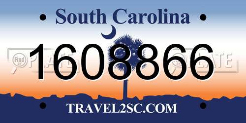 1608866 South Carolina License Plate
