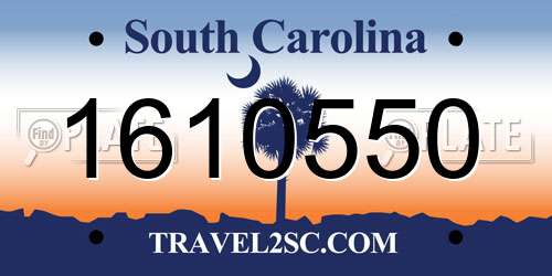 1610550 South Carolina License Plate