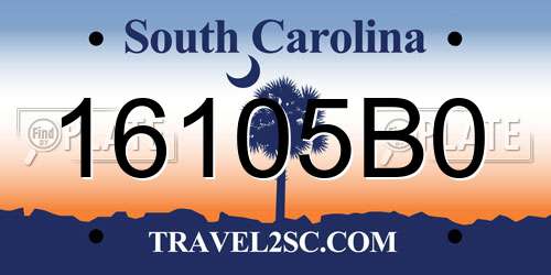 16105B0 South Carolina License Plate