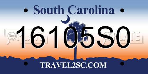 16105S0 South Carolina License Plate