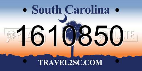 1610850 South Carolina License Plate