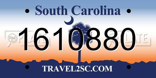 1610880 South Carolina License Plate