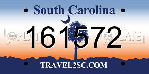 161572 South Carolina License Plate