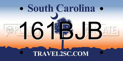 161BJB South Carolina License Plate