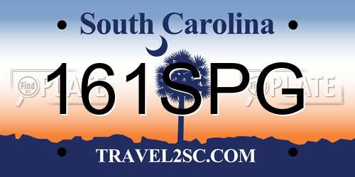 161SPG South Carolina License Plate