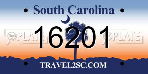 16201 South Carolina License Plate