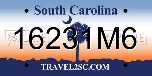 16231M6 South Carolina License Plate