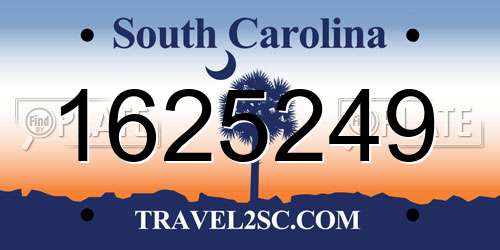 1625249 South Carolina License Plate