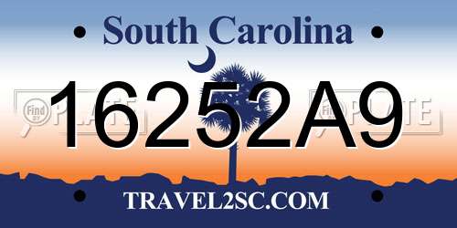 16252A9 South Carolina License Plate