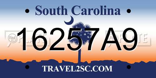 16257A9 South Carolina License Plate