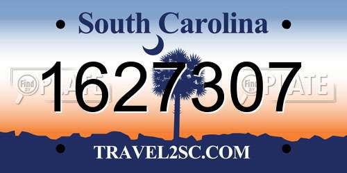 1627307 South Carolina License Plate