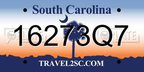16273Q7 South Carolina License Plate