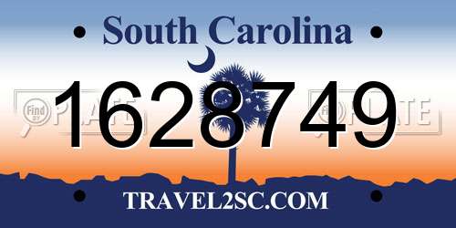 1628749 South Carolina License Plate