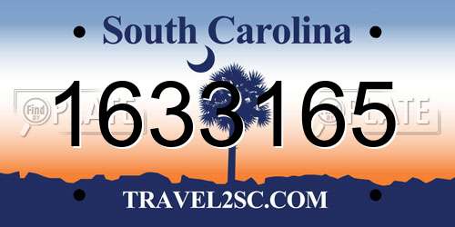 1633165 South Carolina License Plate