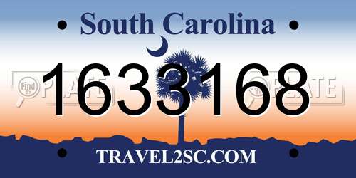 1633168 South Carolina License Plate