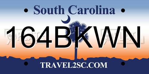 164BKWN South Carolina License Plate