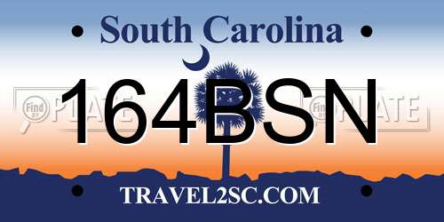 164BSN South Carolina License Plate