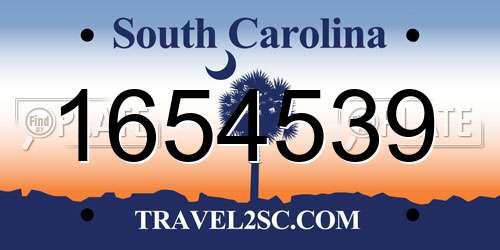 1654539 South Carolina License Plate