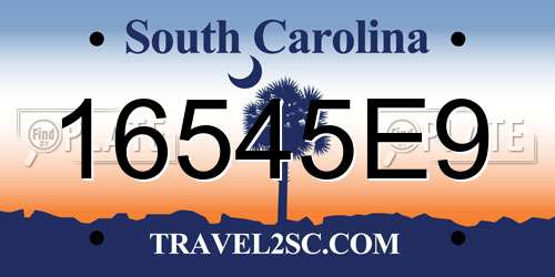 16545E9 South Carolina License Plate