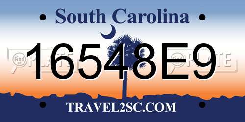 16548E9 South Carolina License Plate