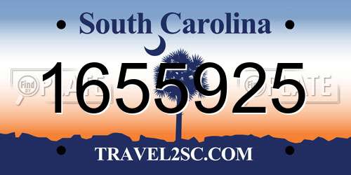 1655925 South Carolina License Plate