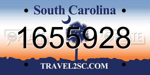 1655928 South Carolina License Plate
