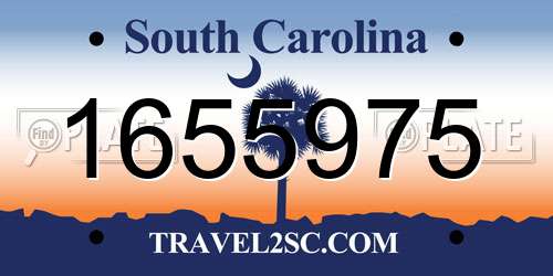 1655975 South Carolina License Plate