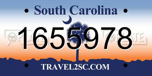 1655978 South Carolina License Plate