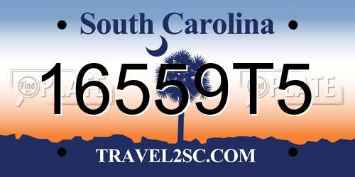 16559T5 South Carolina License Plate