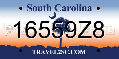 16559Z8 South Carolina License Plate