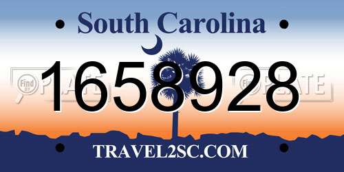 1658928 South Carolina License Plate