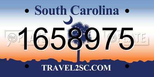 1658975 South Carolina License Plate