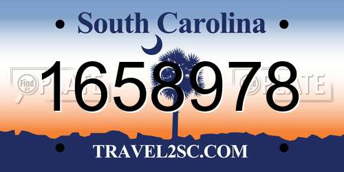 1658978 South Carolina License Plate