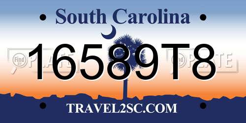 16589T8 South Carolina License Plate