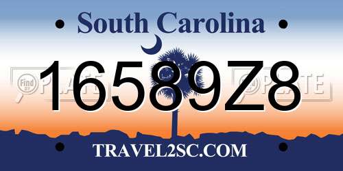 16589Z8 South Carolina License Plate