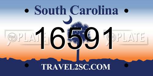 16591 South Carolina License Plate