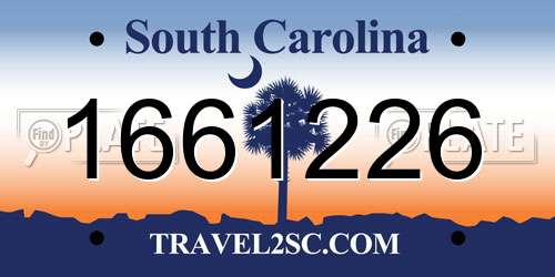 1661226 South Carolina License Plate