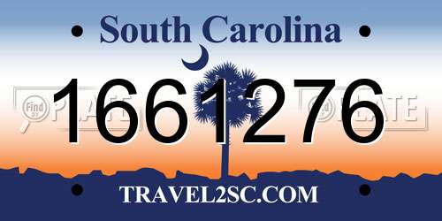 1661276 South Carolina License Plate