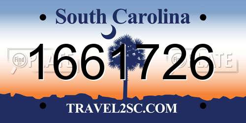 1661726 South Carolina License Plate