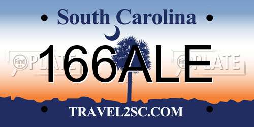 166ALE South Carolina License Plate