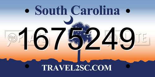 1675249 South Carolina License Plate