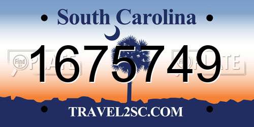 1675749 South Carolina License Plate