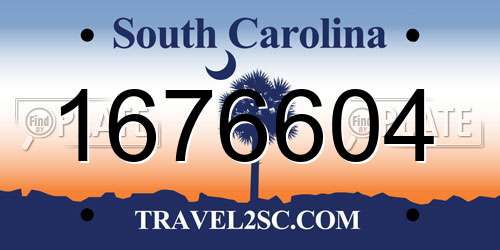 1676604 South Carolina License Plate