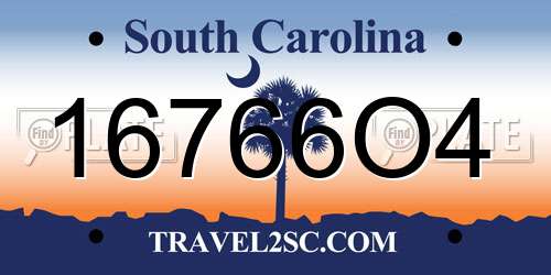16766O4 South Carolina License Plate