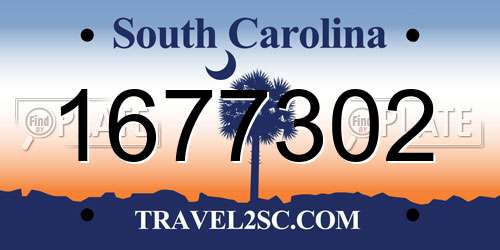 1677302 South Carolina License Plate