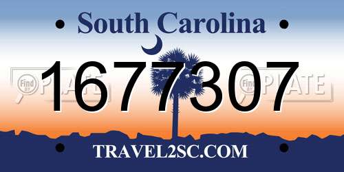 1677307 South Carolina License Plate