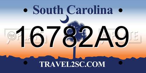 16782A9 South Carolina License Plate