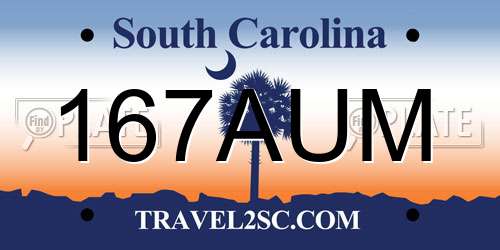 167AUM South Carolina License Plate
