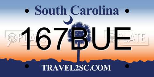 167BUE South Carolina License Plate